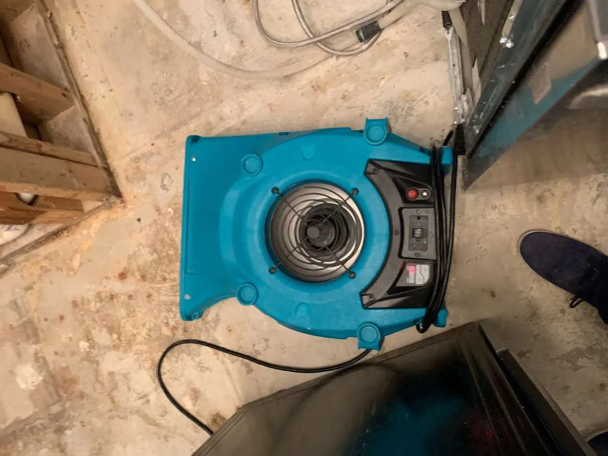 Air mover drying equipment for Mold Remediation & Removal in Maplewood